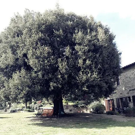 Agriturismo La Bicocca - Apt L'olivo Ferienhaus